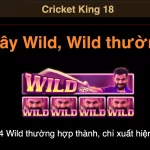 Giới Thiệu Game JILI Cricket King 18 Tin tức mới nhất, chỉ có tại 911win